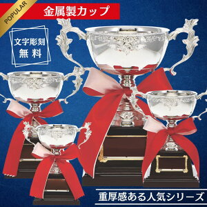 DJbv St }Ή DJbv  DgtB[ LO   ^ St Ry ii TbJ[ Vo[Jbv {t 󖳗 \p LOi  