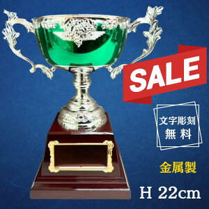 y|Cgő22{vGg[zDJbv St }Ή Jbv ꖳ DJbv  DgtB[ LO   ^ St Ry ii TbJ[ Vo