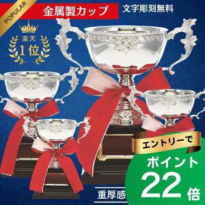 y|Cgő22{vGg[zDJbv St }Ή DJbv  DgtB[ LO   ^ St Ry ii TbJ[ Vo[Jbv {t