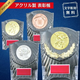【お急ぎ対応OK】★楽天1位 表彰楯 表彰 盾 表彰 アクリル トロフィー 優勝 表彰 記念 記念品 景品 大会 運動会 行事 スポーツ トロフィー ゴルフ ゴルフコンペ 野球 サッカー フットサル 水泳 バレーボール テニス バスケ 表彰楯 優勝 アクリル製 名入れ可能 最優秀賞