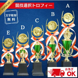 gtB[ St }Ή gtB[ D   \ LO LOi ii  ^ ̈ s Z Cxg X|[c St StRy 싅 TbJ[ tbgT