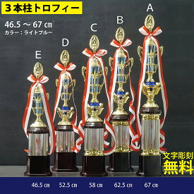 トロフィー ゴルフ 名入れ彫刻無料 トロフィー 優勝 トロフィー 持ち回り ゴルフ トロフィー リボン 優勝 表彰 優勝カップ 優勝トロフィー サッカー 野球 表彰トロフィー ゴルフ トロフィー 文字入れ 名入れ ゴルフコンペ 景品 コンペ