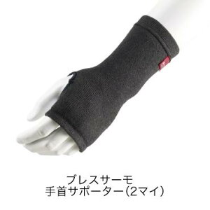 MIZUNO ~Ym uXT[ p T|[^[ (2) ubN C2JSA60309 / { jp t[TCY zMf h ۉ L