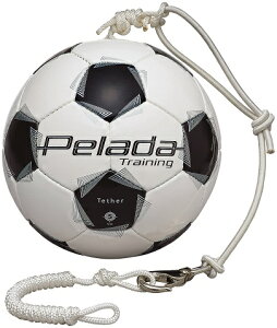 e molten y[_ g[jO ebT[ 5 TbJ[{[ [v200cm F5K9300