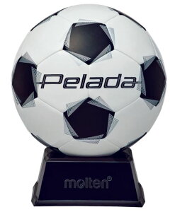 ysze molten y[_ TC{[ uEuX^[P[Xt ƋLOi 悹 F2K500