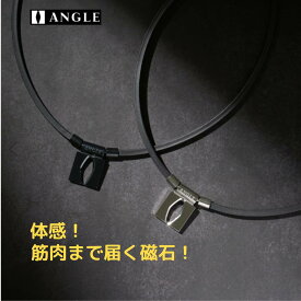 アングル ANGEL 磁気ネックレス ANGLE e.MODEL 01 NECKLACE アングル e. モデル 01 ネックレス ブラック プラチナ スポーツ トレーニング オフィスワーク 男女兼用 磁石 リカバリー パフォーマンスアップ つらい肩こり・首・背中・血行改善 コリ解消 AE01N