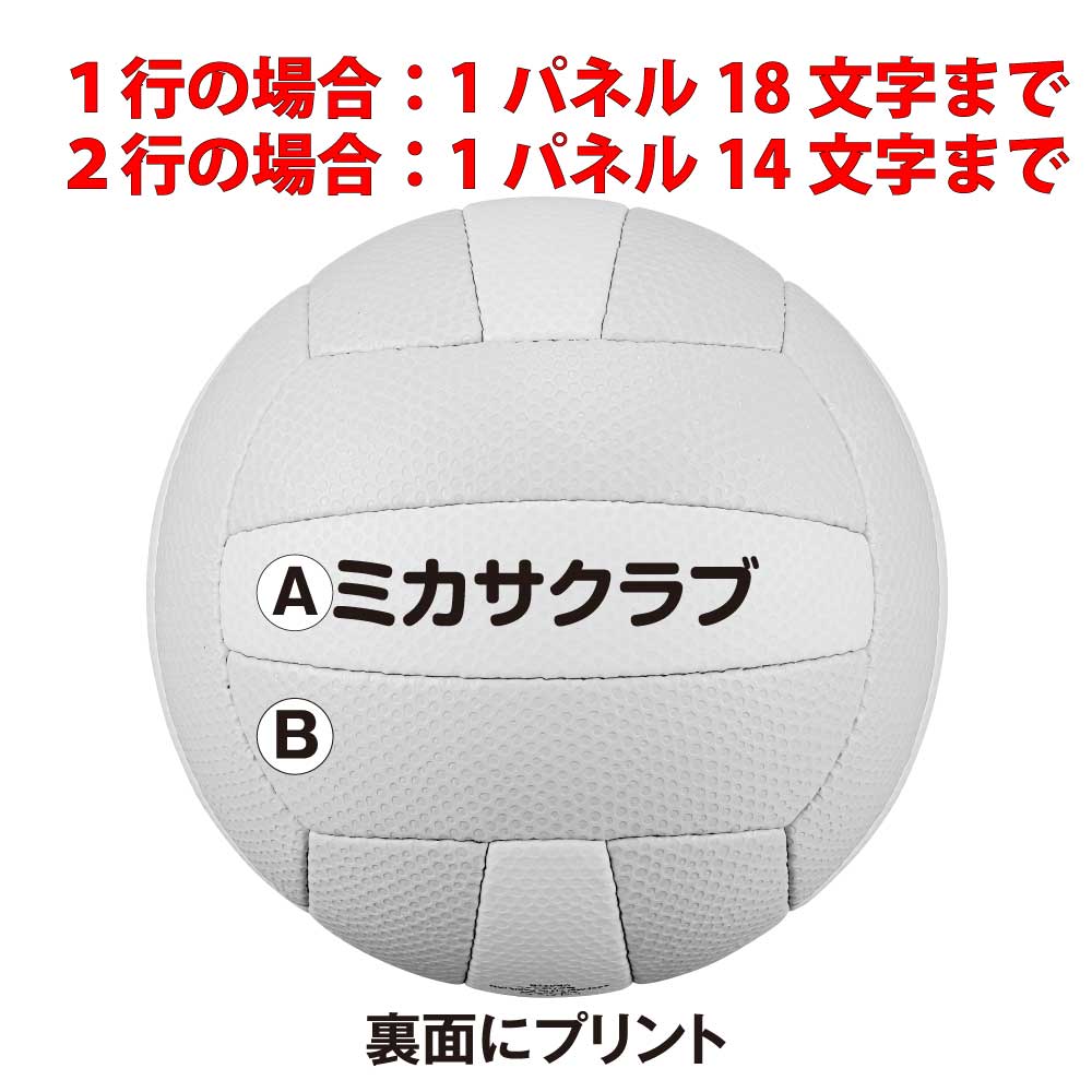 予約】 ミカサ MIKASA ドッジボール ドッヂボール シニア用 約380g 検定球 DB350B-YLB