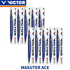 rN^[ VICTOR MASTER ACE }X^[G[X oh~g {oh~g1팟荇i H Vg Vg 5_[X(60) 10_[X(120)  MASTER ACE