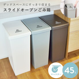 【エントリーでP7倍！】 ゴミ箱 45L 屋外 デザインゴミ箱 スリム ゴミ箱 分別ゴミ箱 スタイリッシュデザイン おしゃれ 新生活 父の日