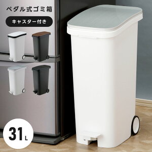 [N[|őSi10%OFF] S~ ݔ 30L 30bg y_ X LX^[t  ^S~ y_ _Xg{bNX 45L 45bg tbv _p[tbv zCg ubN 