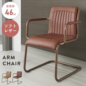 [N[|őSi10%OFF] _CjO`FA ʍ46 46cm `FA `FA[ ֎q CX U[ \tgU[  k JtF  R̎ X`[ w  NbV I It 