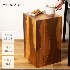 Xc[ ؐ 28cm 48cm `FA ֎q CX  ` ֗pXc[  wȂ TChe[u rO _CjO CeA i` VR L[|bh k _