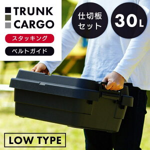 [N[|őSi10%OFF] ydؔ{[P[XZbgz [ h Rei [{bNX gNJ[S 30L Rei{bNX Wt  gN O Lv AEghA [P[X 