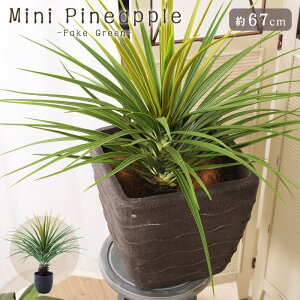 tFCNO[ ~jpCibv lHϗt lHϗtA ϗtA 61cm 61 67cm 67 O[  t   sv sv rO  Q xbh[  k C