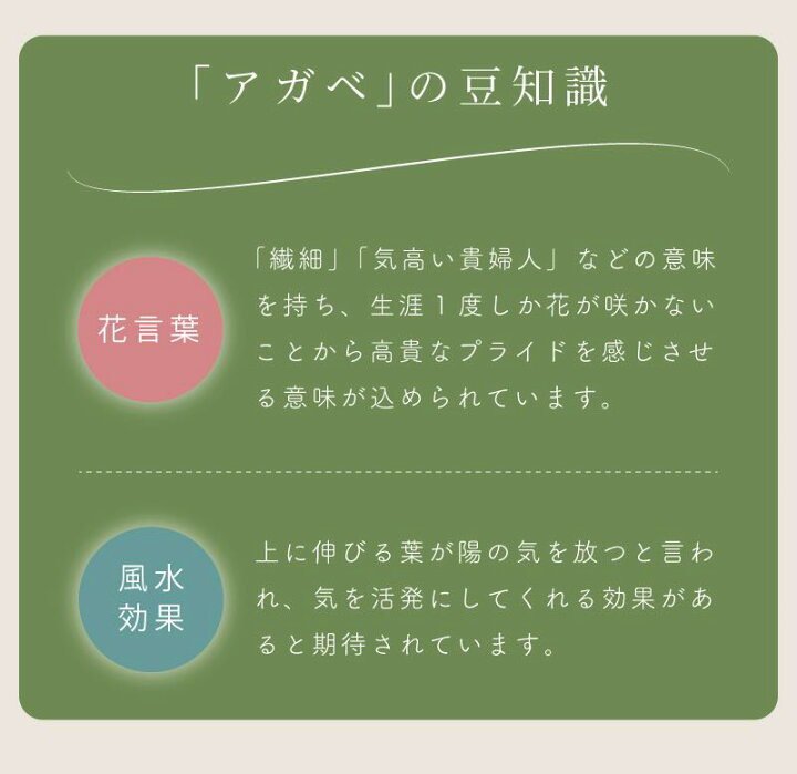 楽天市場 新生活応援セール中 フェイクグリーン アガベ 多肉植物 人工観葉 観葉植物 インテリア 造花 リーフ おしゃれ 新生活 アットホームインテリア