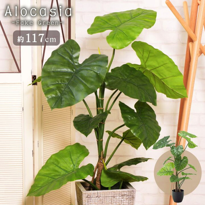 楽天市場 フェイクグリーン アロカシア クワズイモ 人工観葉 観葉植物 インテリア 造花 リーフ おしゃれ アットホームインテリア