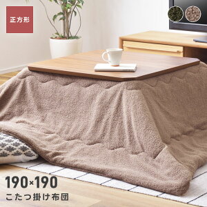 [N[|őSi10%OFF] zc | ` 80×80Ή |zc R^czc pi R^c uE J[L O[ ֎q  t[X V[v{A