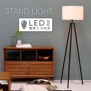 [N[|őSi10%OFF] Ɩ Cg LEDΉ k Md GW\d m dt  킢 X^hCg ԐڏƖ 151cm  VF[h tbgXCb`