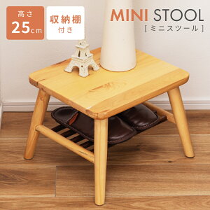 [N[|őSi10%OFF] ~jXc[ Xc[  RpNg ֎q CX  k ؐ wȂ i`  Vv | VR 25cm [t  rO Lb