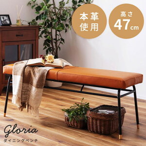 [N[|őSi10%OFF] x` _CjOx`  CX ֎q | {v v X`[  v _ Vv  _CjO rO \t@ Ibg} wȂ A[