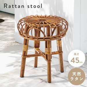 [N[|őSi10%OFF] Xc[ ֎q CX  | ^  i` Vv   qp ][g AWA a a VR ؐ ~ ~`  ی^ 45cm y y 