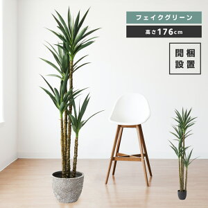 tFCNO[  lHϗt ϗtA CeA  [t AKx Vv  A ȒP i Pi̔ JtF