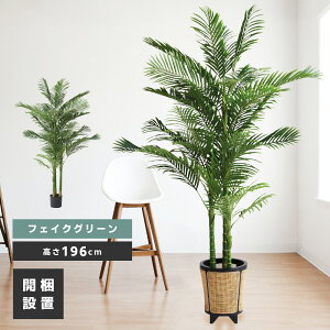 [N[|őSi10%OFF] tFCNO[  lHϗt ϗtA CeA  [t AJV Vv  A ȒP i Pi̔ JtF