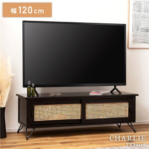 [N[|őSi10%OFF] er er{[h [{[h k ؐ 120cm TV{[h TV AVbN [ o rt   o  ubN R[h X`[ ^ VR Q[