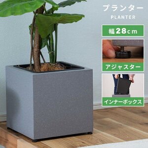 [N[|őSi10%OFF] v^[ 6 6p ϗtA A tFCNO[ G i` _ VbN RN[g K[fjO O[ Zg Ci[{bNX  Q r