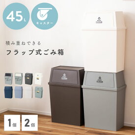 [クーポンで全品10%OFF] ごみ箱 ゴミ箱 おしゃれ 45リットル 45L 分別 スリム ふた付き キッチン ダストボックス 横型 臭わない 積み重ね フラップ式 北欧 リビング アースカラー スタッキング 寝室 台所 洗面所 茶色 白 グレー ベージュ ネイビー 単品 2個セット