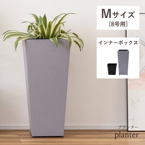 [N[|őSi10%OFF] v^[ 8p 33cm 72cm ϗtA tFCNO[ _ VbN RN[g K[fjO O[ Zg Ci[{bNX  Q rO AW