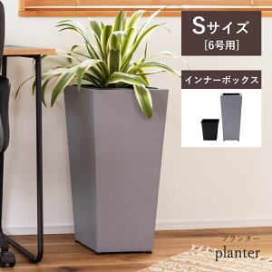 [N[|őSi10%OFF] v^[ 6p 28cm 60cm ϗtA tFCNO[ _ VbN RN[g K[fjO O[ Zg Ci[{bNX  Q rO AW