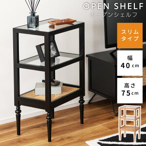 [N[|őSi10%OFF] [ VFt I[vVFt 40cm 75cm ؐ ^  KX KX NAV 낭r VR [I I I[v[ [ y y TC