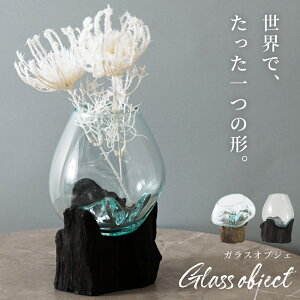 [N[|őSi10%OFF] IuWF KX KXIuWF ̍ EɈ 1_ _  NA CeAG  ؐ  }  ANAE ϗtA ԕr [ fBX