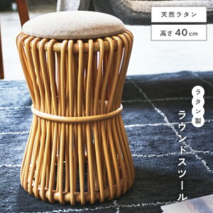 Xc[ ^  ֎q k IV VR   ۃXc[ Xc[֎q CX  40cm 40cm  rO Q _CjO rO y y i` Vv R[X^