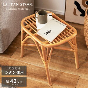 Xc[ ^  ֎q CX ʍ36cm 36cm Ibg}  rO Q _CjO y y TChe[u k  i` Vv R[X^ Cݕ וu 