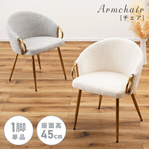 [N[|őSi10%OFF] _CjO`FA `FA `FA[ ֎q CX 45cm ʍ45 u[N S[hr AeB[N ؍ NVbN H֎q HCX fXN`FA hbT[`FA I