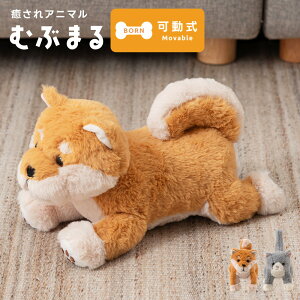 [N[|őSi10%OFF] ʂ L lR  Ck ӂӂ   Aj} ނԂ܂ |[Y  {[ g ӂ  bNX  킢 q LbY  A