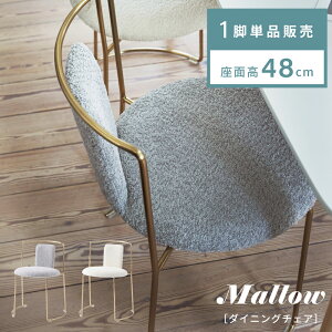 [N[|őSi10%OFF] _CjO`FA 48cm ʍ48 `FA `FA[ fXN`FA ֎q CX H֎q HCXlJCC l u[N S[h  r NVbN AeB[N