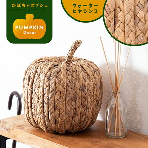 [N[|őSi10%OFF] IuWF ڂ EH[^[qVX G u   k I[ig   J{` Z pvL   ~j RpNg y y