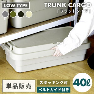 [N[|őSi10%OFF] [ h Rei [{bNX gNJ[S 40L [^Cv X^bLO  [P[X Rei{bNX Wt O t^t   gN L