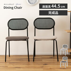 _CjO`FA  ʍ44.5cm `FA[ CX ֎q ^ NbV  zn t@ubN A[X IȂ I|Ȃ RpNg y y X`[ r ubN  V