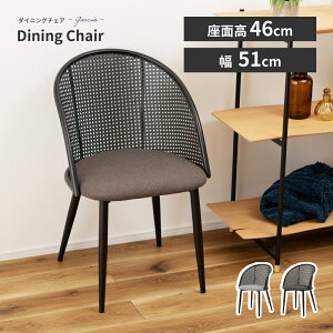 _CjO`FA  ʍ46cm `FA[ CX ֎q ^ NbV  zn t@ubN A[X IȂ I|Ȃ RpNg y y X`[ r ubN  Vv