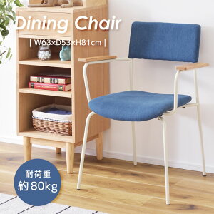 [N[|őSi10%OFF] _CjO`FA 47cm ʍ47 `FA `FA[ ֎q CX HCX H֎q ؐ VR I I| A[`FA i z u[ fj X`[ zC
