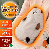 湯たんぽ ゆたんぽ 充電式 かわいい ぬいぐるみ 蓄熱式 電気 蓄電 コードレス カバー付き お湯不要 カイ…