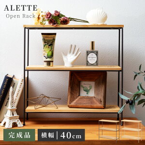 [N[|őSi10%OFF] bN I ؐ IbN 40 s14 X 3i 40   IV VFt 3i [ X`[ 40cm RpNg  gC gCbN Tj^[ I[v