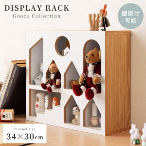 [N[|őSi10%OFF] RNVVFt tBMA [ I  I RNVbN [P[X ObY[ Vv i` k RNVP[X ANX^h