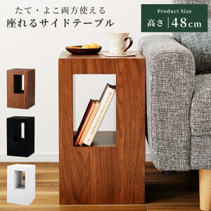 [N[|őSi10%OFF] TChe[u  [ 28cm X    k ؐ ؖڒ iCge[u Xc[ xbh \t@ `  ~j  RpNg `FA `FA[ 