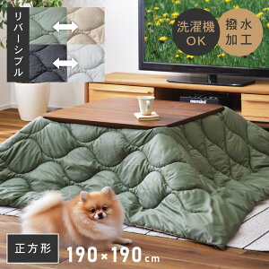 [N[|őSi10%OFF] zc ` 190×190 |zc R^czc pi R^c o[Vu  |GXe ֎q 80×80Ή l炵 AEghA Lv [ob