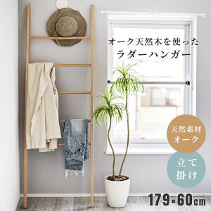 [N[|őSi10%OFF] nK[bN ͂ ؐ VR I[N Ċ|  X k ؍ ؍CeA IV 킢  Vv 60cm 38cm 60 177 AeB[